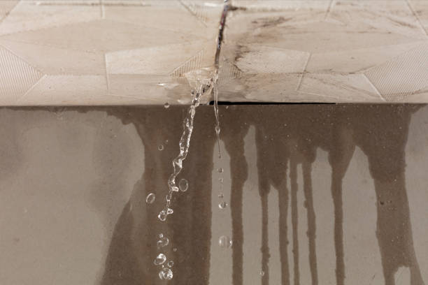 Professional Sewage Cleanup technician working in Berea, SC